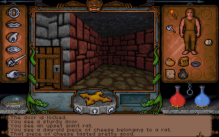 Auf der Suche nach Nahrung